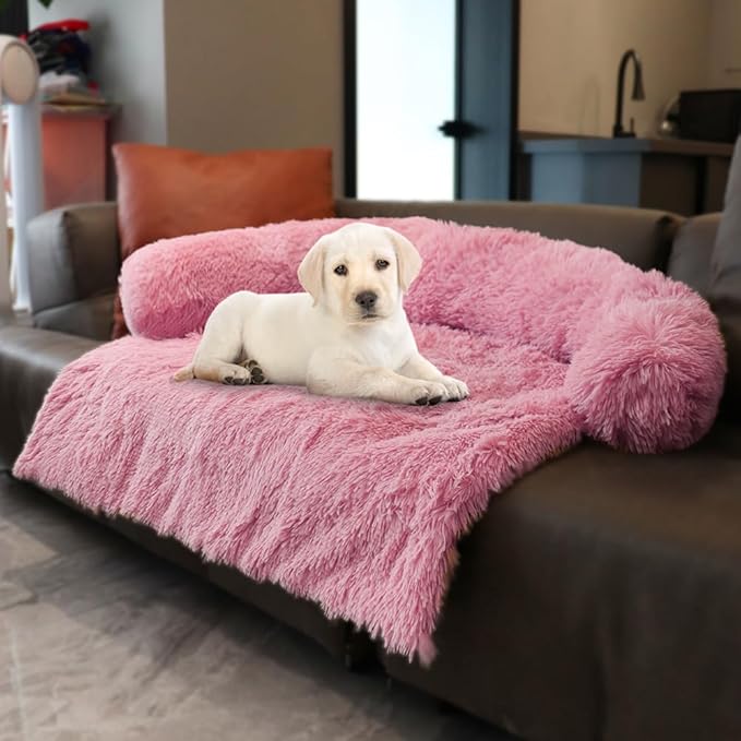 Beds & Furniture