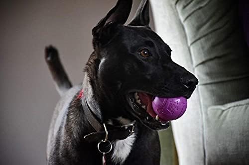 Chew King Fetch Balls Extremely Durable Natural Rubber Toy 2.5 inch, 8-pack (CM-0264-CS01)