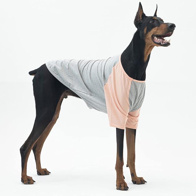 Dog Shirt for Small and Large Dogs Raglan Cotton T-Shirts Soft Breathable Dog Shirts pet Clothes Gray Series (5X-Large, Gray/Peach)