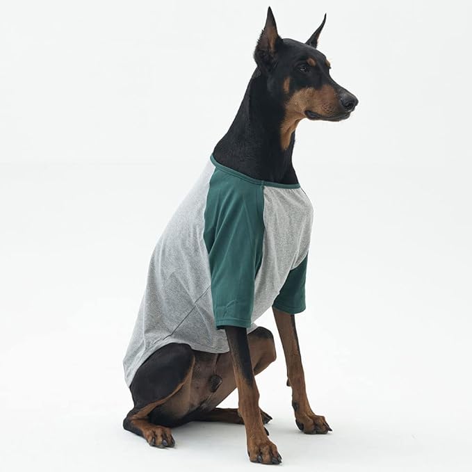 Dog Shirt for Small and Large Dogs Raglan Cotton T-Shirts Soft Breathable Dog Shirts pet Clothes Gray Series (4X-Large, Gray/Green)