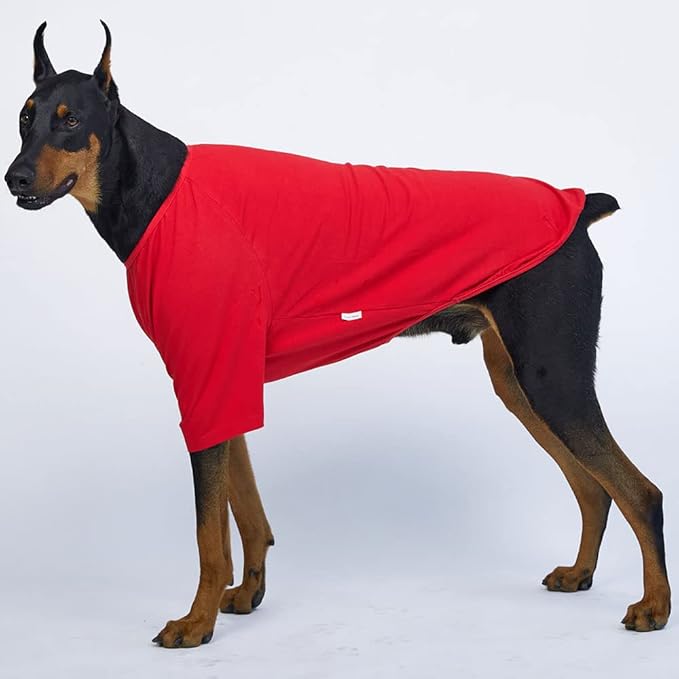 Dog Shirt for Small Dogs Plain T-Shirts Soft Breathable Dog Cotton Shirt pet Clothes (4X-Large, Red)