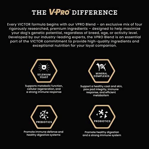 VICTOR Super Premium Dog Food – Professional Dry Dog Food – Super Premium Kibble with 26% Protein – Gluten-Free with Beef, Chicken & Pork Meals – for High Energy and Active Dogs & Puppies, 40lbs