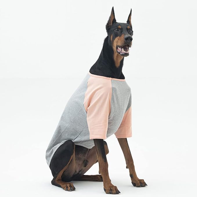 Dog Shirt for Small and Large Dogs Raglan Cotton T-Shirts Soft Breathable Dog Shirts pet Clothes Gray Series (5X-Large, Gray/Peach)