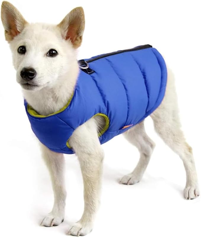 Gooby Padded Vest Dog Jacket - Solid Blue, X-Large - Warm Zip Up Vest Fleece Jacket with Dual D Ring Leash Water Resistant for Small to Medium Dogs