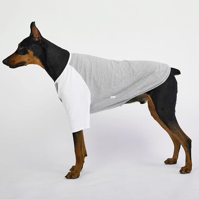 Dog Shirt for Small and Large Dogs Raglan Cotton T-Shirts Soft Breathable Dog Shirts pet Clothes Gray Series (4X-Large, Gray/White)