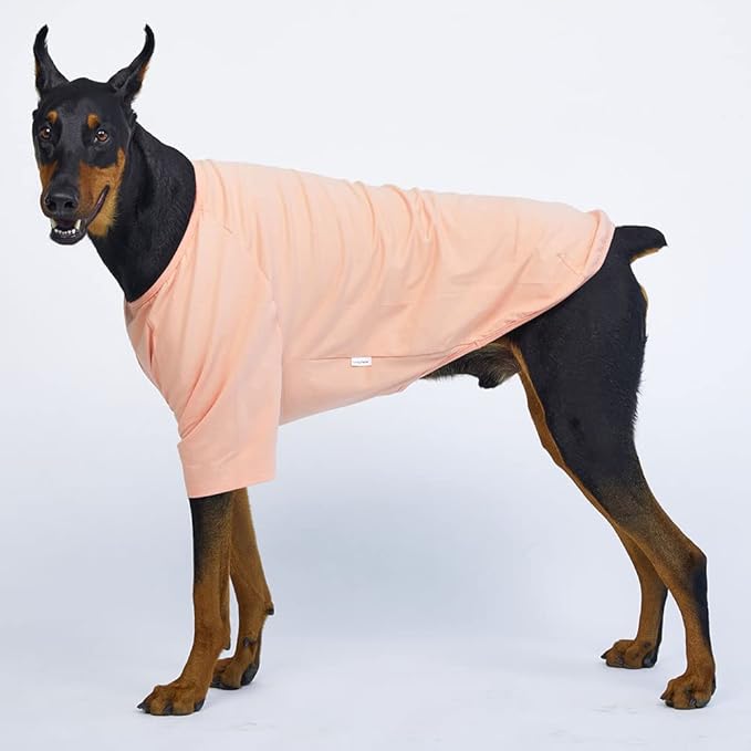 Dog Shirt for Small Dogs Plain T-Shirts Soft Breathable Dog Cotton Shirt pet Clothes (5X-Large, Peach)