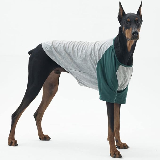 Dog Shirt for Small and Large Dogs - Raglan Cotton T-Shirt - Soft, Breathable - Gray/Green - 2X-Large
