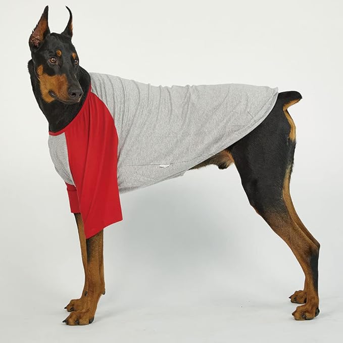 Dog Shirt for Small and Large Dogs Raglan Cotton T-Shirts Soft Breathable Dog Shirts pet Clothes Gray Series (2X-Large, Gray/Red)