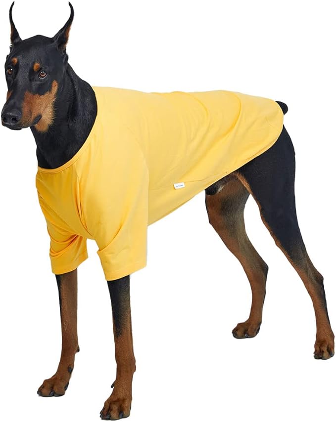 Dog Shirt for Small Dogs Plain T-Shirts Soft Breathable Dog Cotton Shirt pet Clothes (2X-Large, Yellow)
