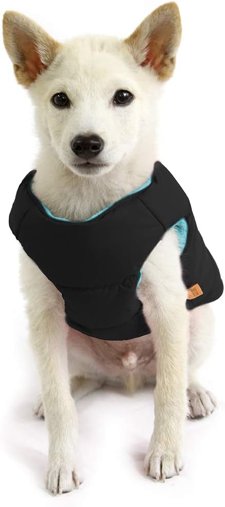 Gooby Padded Vest Dog Jacket - Solid Black, Medium - Warm Zip Up Vest Fleece Jacket with Dual D Ring Leash Water Resistant for Small to Medium Dogs