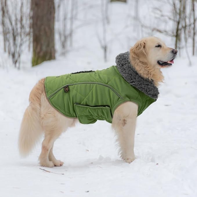 EMUST Winter Dog Coats, Fleece Pet Apparel for Cold Weather, British Style Windproof Warm Dog Jacket for Winter, Green, XS