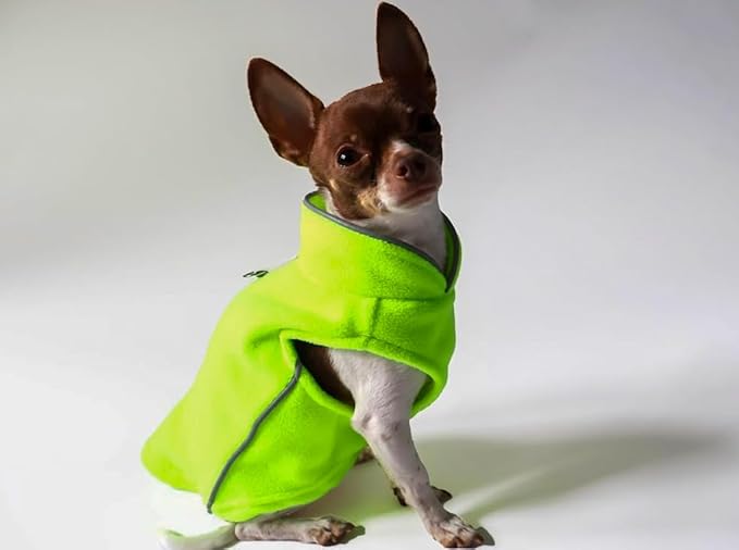 JACKO & CO - Fleece Vest Dog Sweater with Leash Ring - Soft, Warm & Lightweight Pullover Coat for Small & Medium Dogs, Puppies & Cats - Cozy Fall/Winter/Spring Pet Jacket (Lime Green, Medium 6-10lbs)