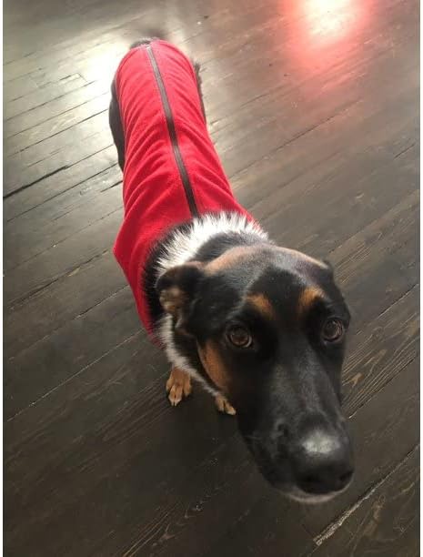 Gooby Zip Up Fleece Dog Sweater - Red, 2X-Large - Warm Pullover Step-in Jacket Without Ring Leash - Winter Clothes for Small and Medium Dogs