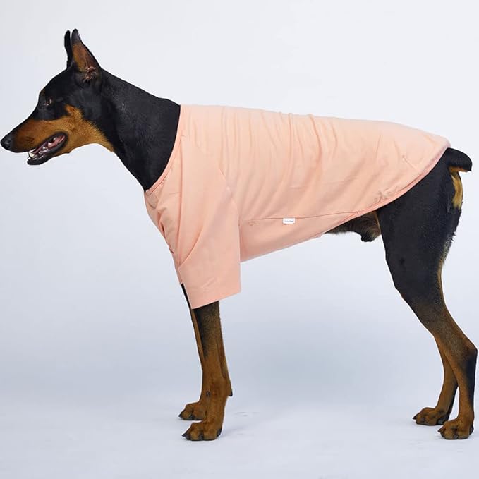 Dog Shirt for Small Dogs Plain T-Shirts Soft Breathable Dog Cotton Shirt pet Clothes (4X-Large, Peach)