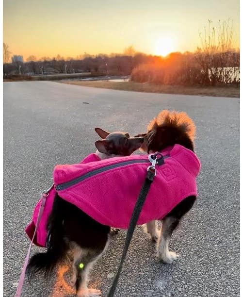 Gooby Zip Up Fleece Dog Sweater - Pink, Large - Warm Pullover Fleece Step-in Dog Jacket with Dual D Ring Leash - Winter Small Dog Sweater - Dog Clothes for Small Dogs Boy and Medium Dogs