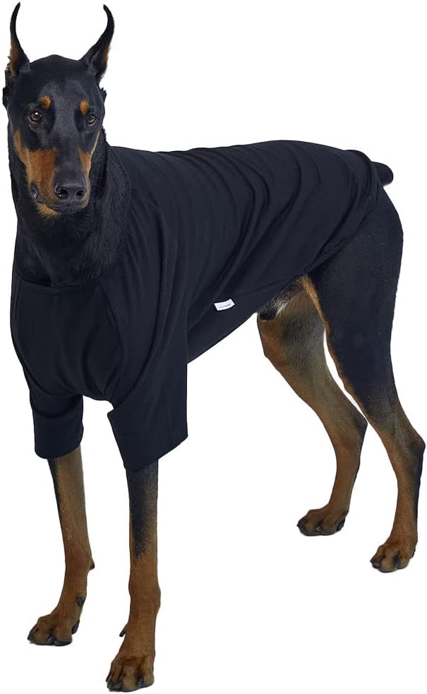 Dog Shirt for Small Dogs Plain T-Shirts Soft Breathable Dog Cotton Shirt pet Clothes (4X-Large, Black)