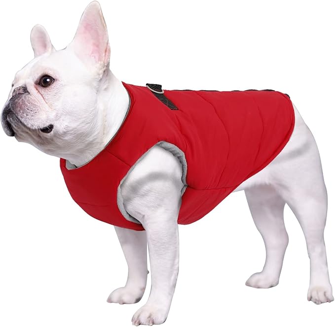 Geyecete Dog Bulldog Clothes Dog Cotton Padded Coat Thick Winter Warm Vest Waistcoat Cold Weather Jacket Clothing for French Bulldog Coat-Red-XL