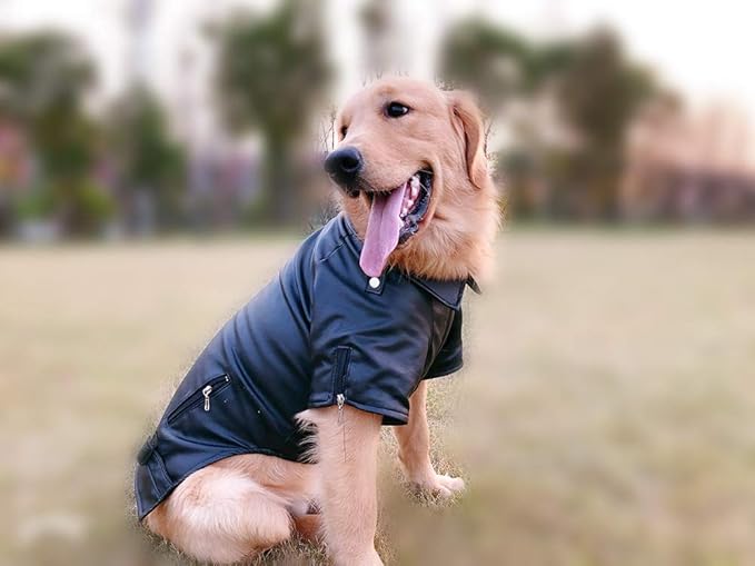 Lovelonglong Cool Dog Leather Jacket, Warm Coats Dogs Windproof Cold Weather Coats for Large Medium Small Dogs, Labrador Golden Retriever Clothing Black L-L