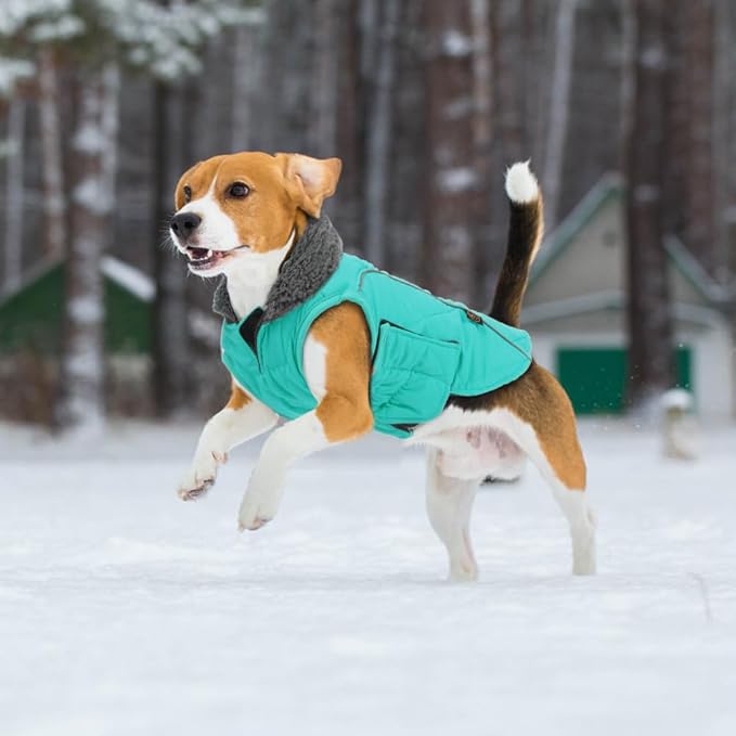 EMUST Winter Dog Coats, Fleece Dog Apparel for Cold Weather, British Style Windproof Warm Pet Jacket for for Winter, Turquoise, XS