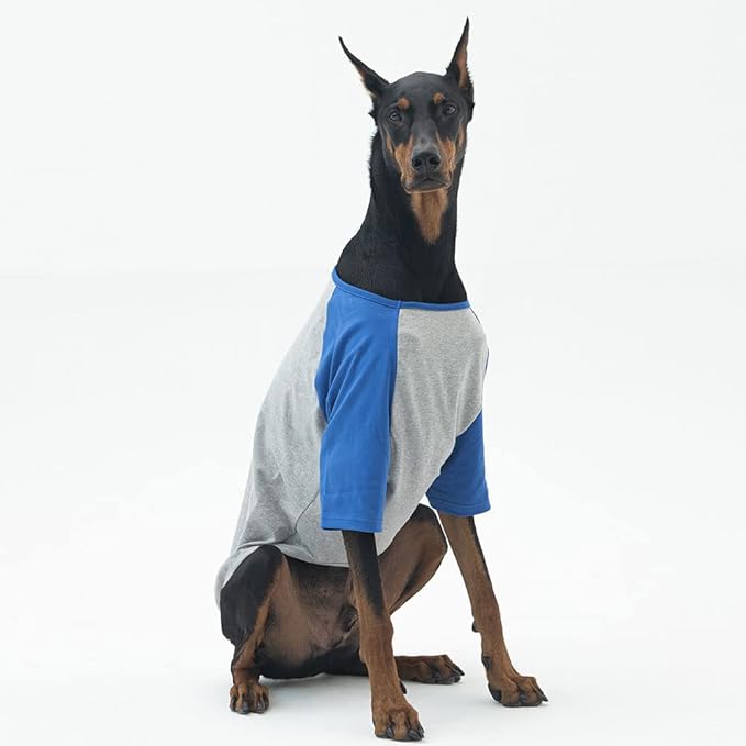 Dog Shirt for Small and Large Dogs Raglan Cotton T-Shirts Soft Breathable Dog Shirts pet Clothes Gray Series (X-Large, Gray/Blue)