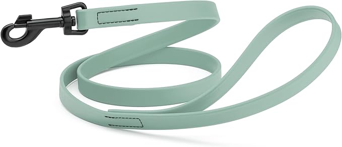Dogline Biothane Waterproof Dog Leash Strong Coated Nylon Webbing with Black Hardware Odor-Proof Easy to Clean High Performance for Small or Large Dogs Made in USA 4 or 6 ft Lead, Sage Green