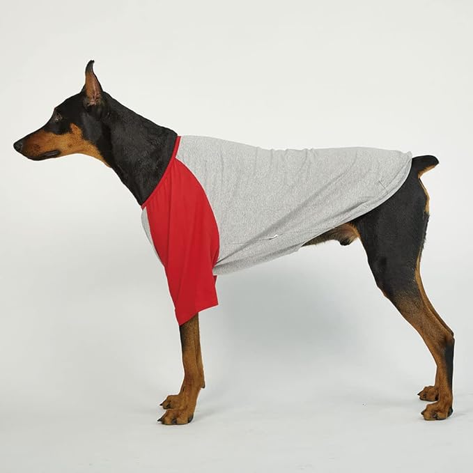 Dog Shirt for Small and Large Dogs Raglan Cotton T-Shirts Soft Breathable Dog Shirts pet Clothes Gray Series (4X-Large, Gray/Red)