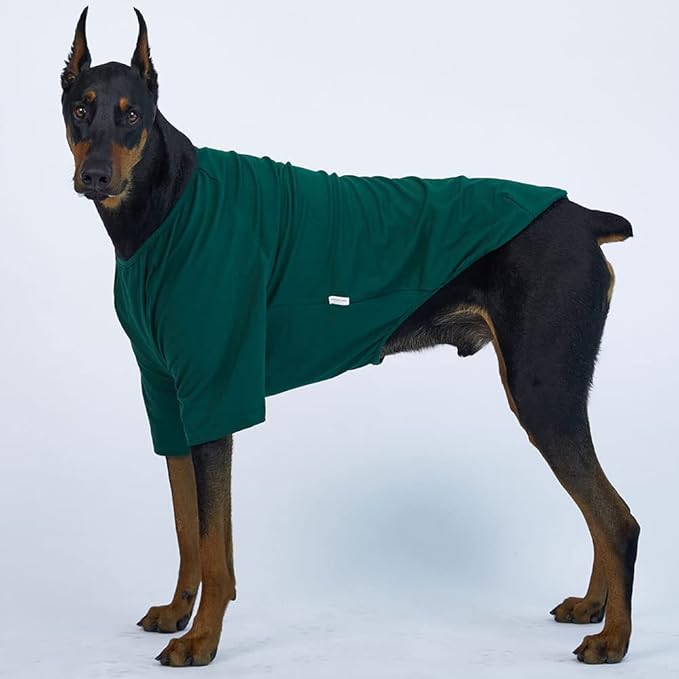 Dog Shirt for Small Dogs Plain T-Shirts Soft Breathable Dog Cotton Shirt pet Clothes (X-Large, Green)