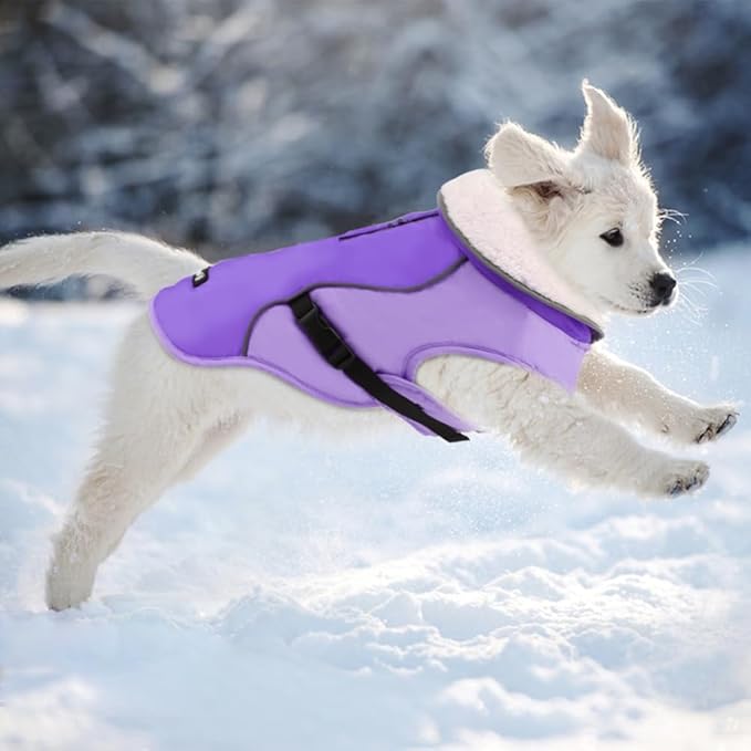EMUST Dog Winter Coat, Thick Windproof Dog Jacket Winter, Pet Dogs Winter Vest for Small/Medium/Large Dog,New Purple, XXL