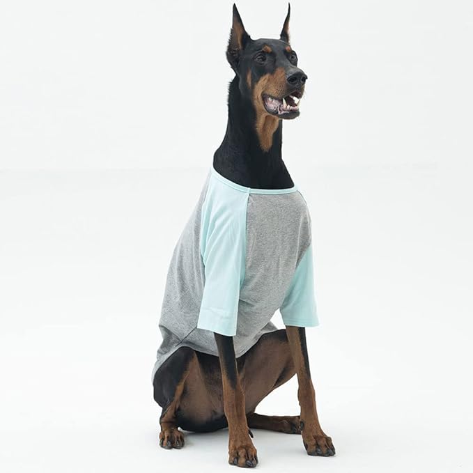 Dog Shirt for Small and Large Dogs Raglan Cotton T-Shirts Soft Breathable Dog Shirts pet Clothes Gray Series (3X-Large, Gray/Mint)