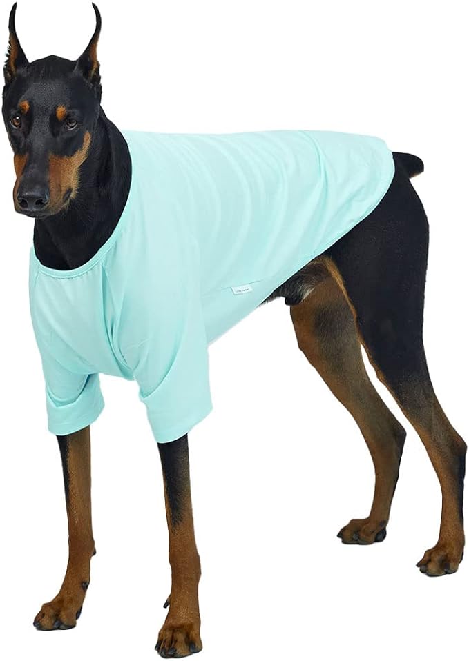 Dog Shirt for Small Dogs Plain T-Shirts Soft Breathable Dog Cotton Shirt pet Clothes (5X-Large, Mint)
