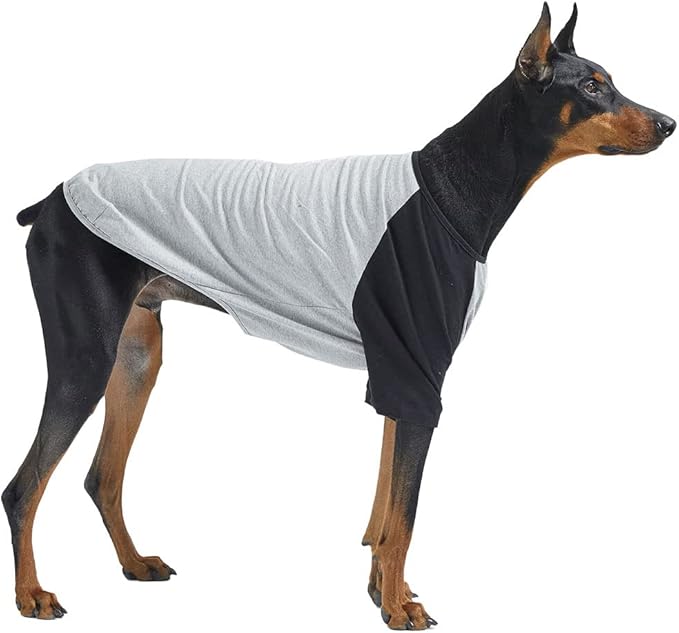 Dog Shirt for Small and Large Dogs Raglan Cotton T-Shirts Soft Breathable Dog Shirts pet Clothes Gray Series (5X-Large, Gray/Black)