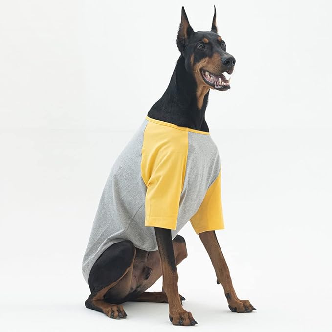 Dog Shirt for Small and Large Dogs Raglan Cotton T-Shirts Soft Breathable Dog Shirts pet Clothes Gray Series (3X-Large, Gray/Yellow)