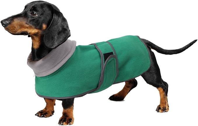 Geyecete Dachshund Sweaters for Dogs, Dachshund Coat Perfect Winter Coat with Padded Fleece Lining and High Collar, Dog Snowsuit with Adjustable Bands - Green - S