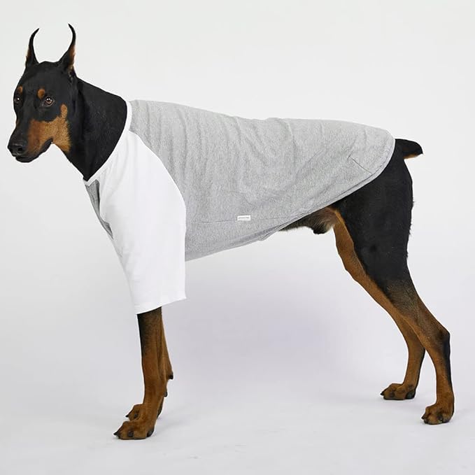Dog Shirt for Small and Large Dogs Raglan Cotton T-Shirts Soft Breathable Dog Shirts pet Clothes Gray Series (X-Large, Gray/White)