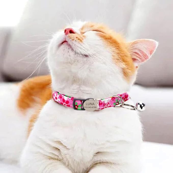 Personalized Breakaway Cat Collar with Bell - Name and Phone Number Engraved for Boys and Girls Kitten (Floral)
