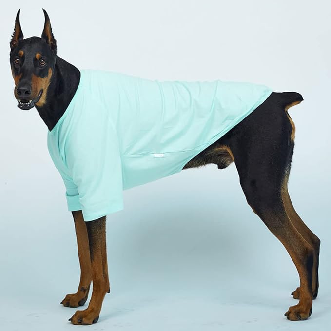 Dog Shirt for Small Dogs Plain T-Shirts Soft Breathable Dog Cotton Shirt pet Clothes (4X-Large, Mint)