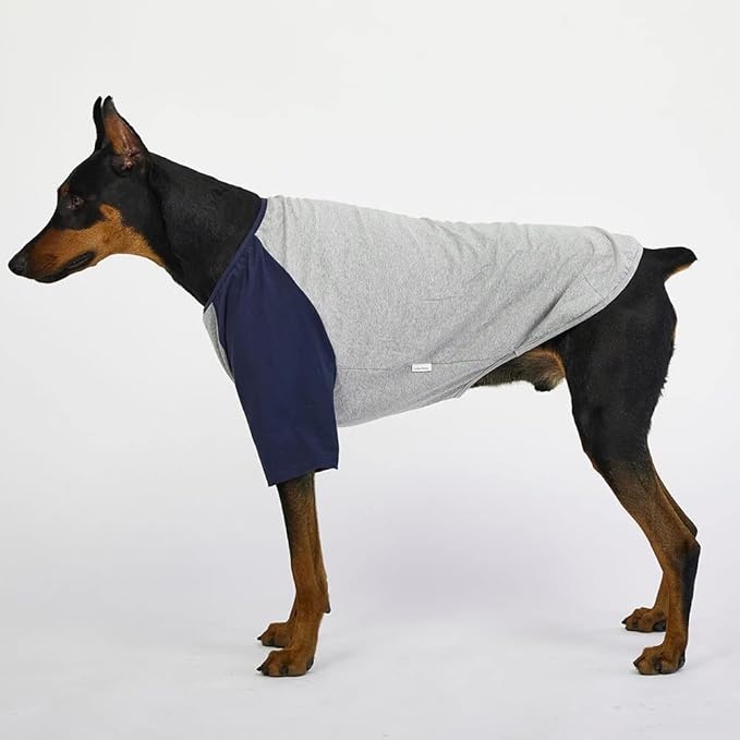 Dog Shirt for Large Dogs, Gray/Navy, X-Large, Cotton, Breathable, Lightweight, Raglan, Round Neck