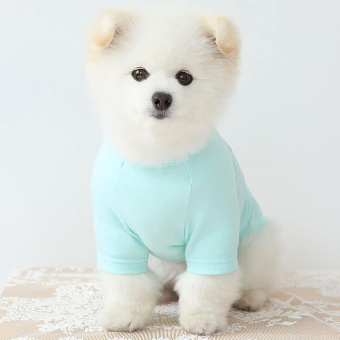 Dog Shirt for Small Dogs Plain T-Shirts Soft Breathable Dog Cotton Shirt pet Clothes (Medium, Mint)