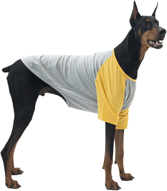 Dog Shirt for Small and Large Dogs Raglan Cotton T-Shirts Soft Breathable Dog Shirts pet Clothes Gray Series (3X-Large, Gray/Yellow)