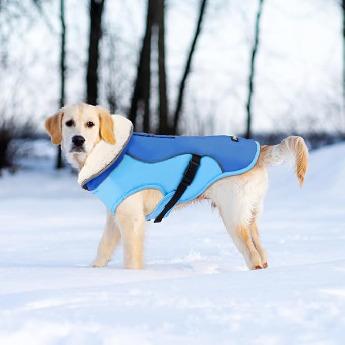 EMUST Dog Jacket, Windproof Polyester, Warm Fleece Lined, Reflective, New Blue, S