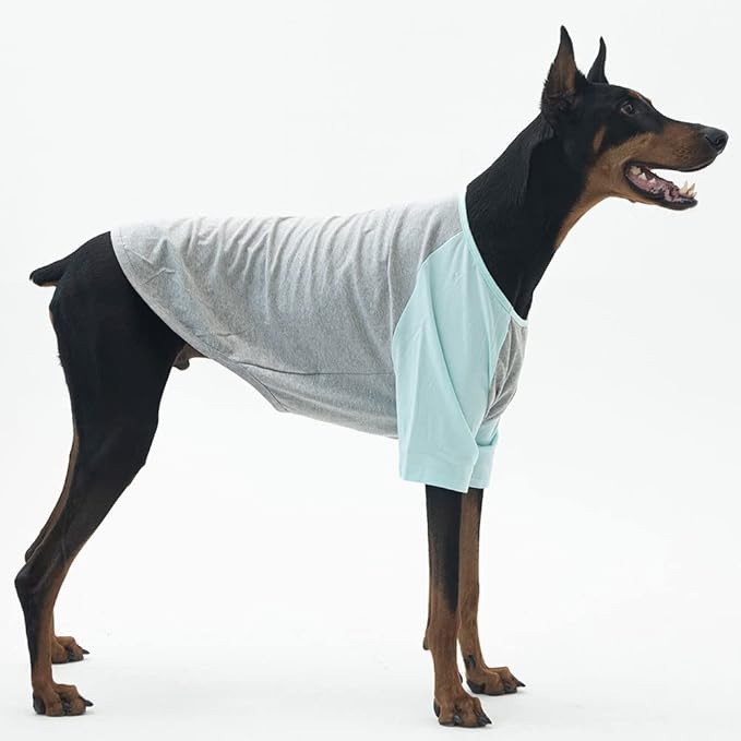 Dog Shirt for Small and Large Dogs Raglan Cotton T-Shirts Soft Breathable Dog Shirts pet Clothes Gray Series (4X-Large, Gray/Mint)