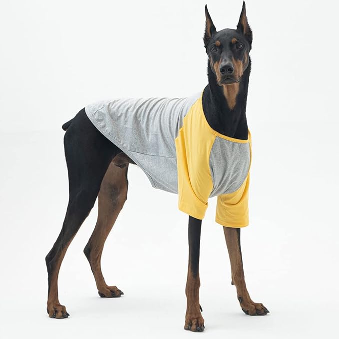 Dog Shirt for Small and Large Dogs Raglan Cotton T-Shirts Soft Breathable Dog Shirts pet Clothes Gray Series (4X-Large, Gray/Yellow)