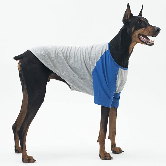 Dog Shirt for Small and Large Dogs Raglan Cotton T-Shirts Soft Breathable Dog Shirts pet Clothes Gray Series (5X-Large, Gray/Blue)