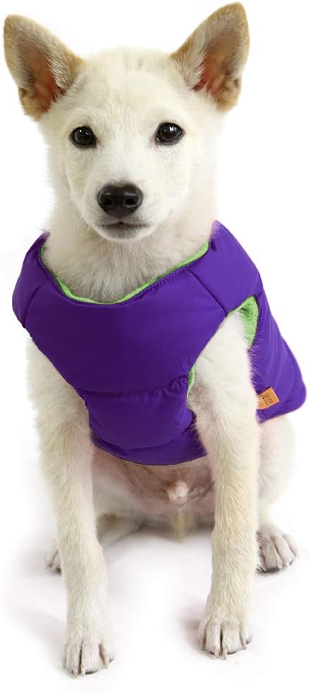 Gooby Padded Vest Dog Jacket - Solid Purple, X-Small - Warm Zip Up Vest Fleece Jacket with Dual D Ring Leash - Water Resistant Sweater - Clothes for Small and Medium Dogs