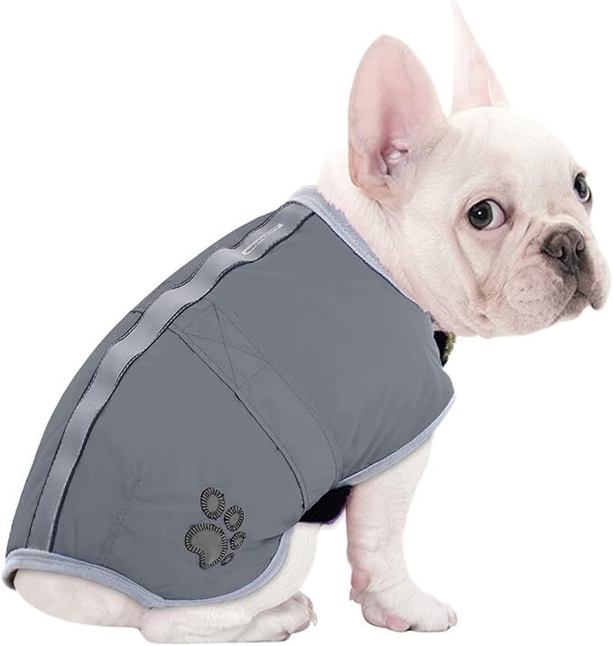Queenmore Dog Winter Coat, Cold Weather Fleece Jacket for Dogs, Waterproof Reflective Reversible, for Small, Medium and Large Dogs (Grey, L)