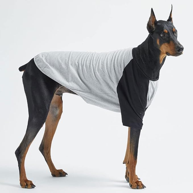 Dog Shirt for Small and Large Dogs Raglan Cotton T-Shirts Soft Breathable Dog Shirts pet Clothes Gray Series (5X-Large, Gray/Black)