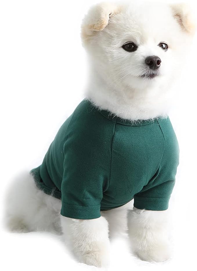 Dog Shirt for Small Dogs Plain T-Shirts Soft Breathable Dog Cotton Shirt pet Clothes (Medium, Green)