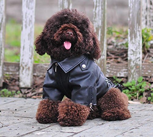 Lovelonglong Cool Dog Leather Jacket, Warm Coats Dogs Windproof Cold Weather Coats for Large Medium Small Dogs,Miniature PoodleSchnauzers Clothing Black XL