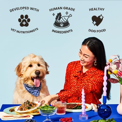 The Pets Table Human-Grade Beef Stew Fresh Dog Food, Dog Food Topper or Complete Meal, 9 Count of 32-oz Pouches, 17.7lbs