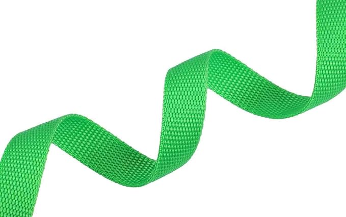 AMAGOOD 6 FT Puppy/Dog Leash, Strong and Durable Traditional Style Leash with Easy to Use Collar Hook, Great for Small, Medium and Large Dogs (1" x 6 ft, Black and Green (2-Pack))